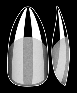 Vayve Soft Gel Nail Tips – Half Matte Pre Buff & Full Clear, 120 Pcs (12 Sizes)