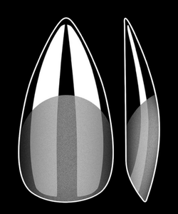 Vayve Soft Gel Nail Tips – Half Matte Pre Buff & Full Clear, 120 Pcs (12 Sizes)